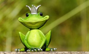 Smiling King Frog